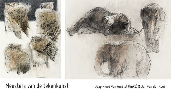 ploosvanamstel-janvanderkooi