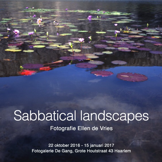 sabbatical-landscapes