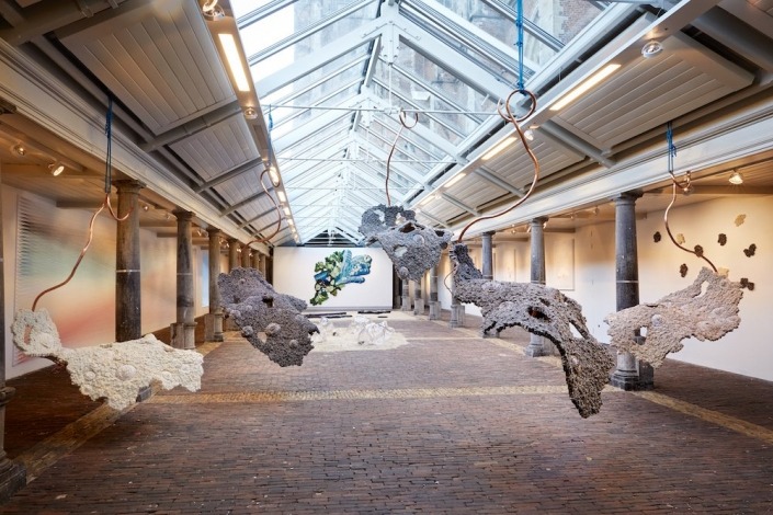 Ronald van Brakel De Vishal