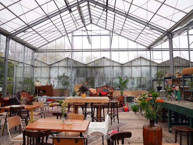 Screen Shot 2017-09-20 at 11.01.08