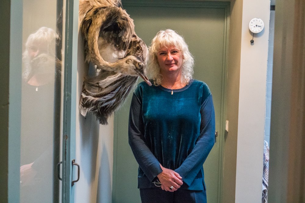 Andrew Wajs (20 of 51)