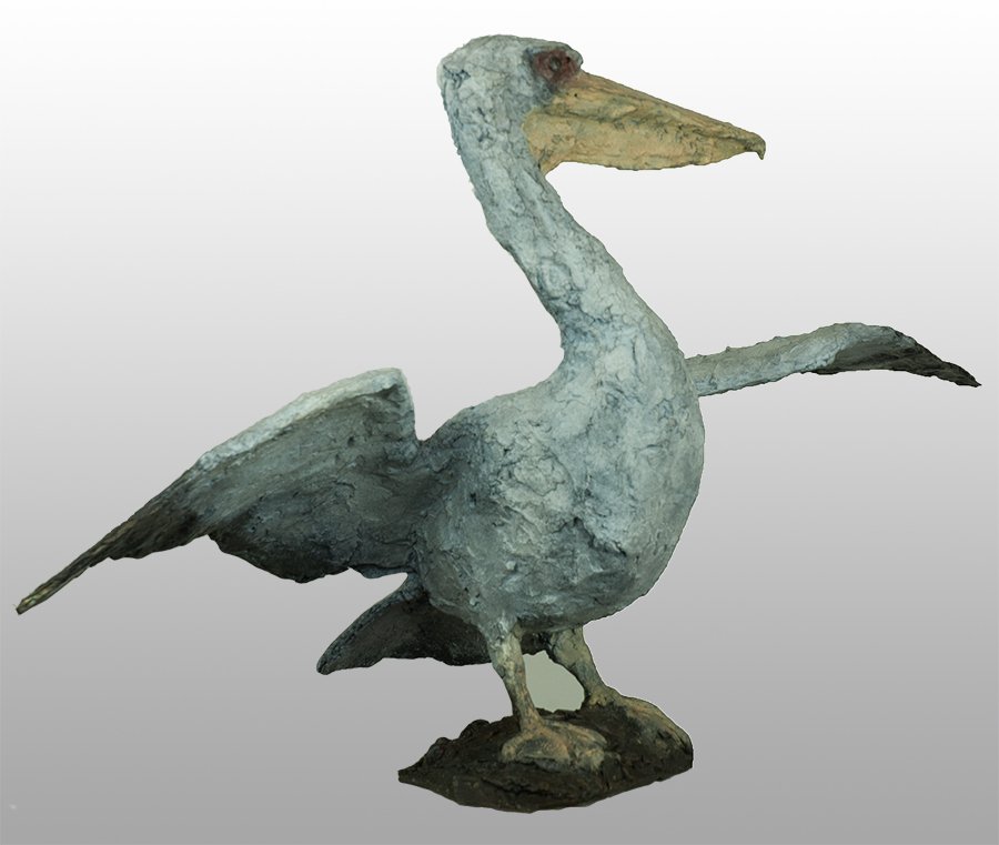 pelicaan Ruud Zweypfenning