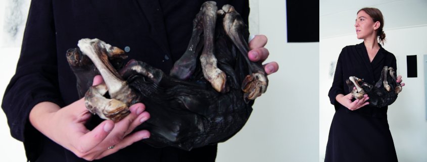 Florence Marceau-Lafleur