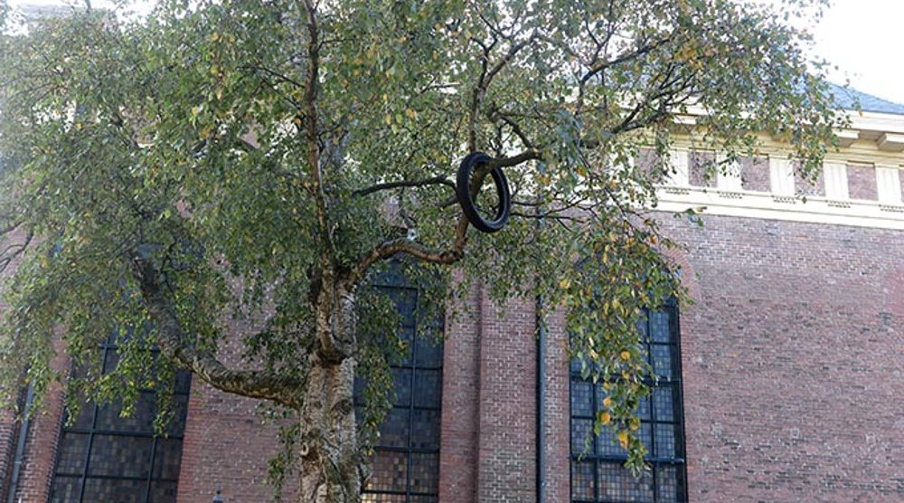 Jeroen Jongeleen Cirkel in boom