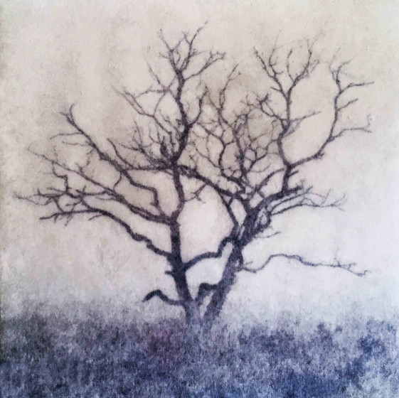 uitgelichtKarenWinnubst2