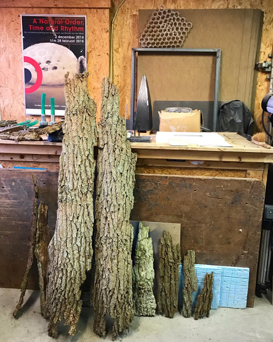 uitgelichtRonaldvanderMeijs5