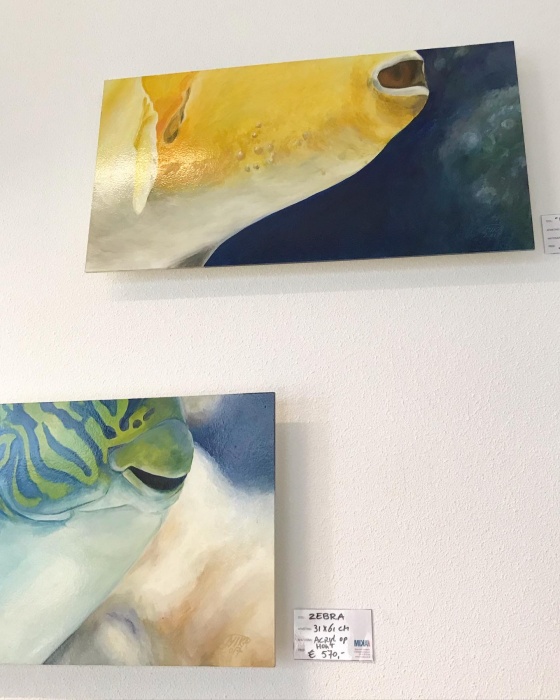 uitgelichtmikavanvonderen3