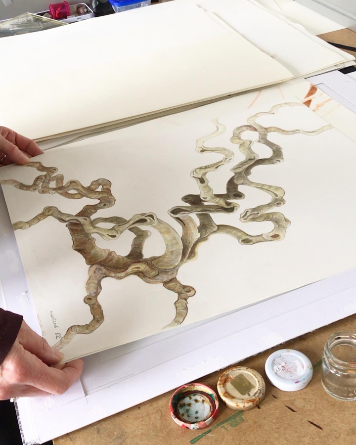 uitgelicht-Elsje Zwart4