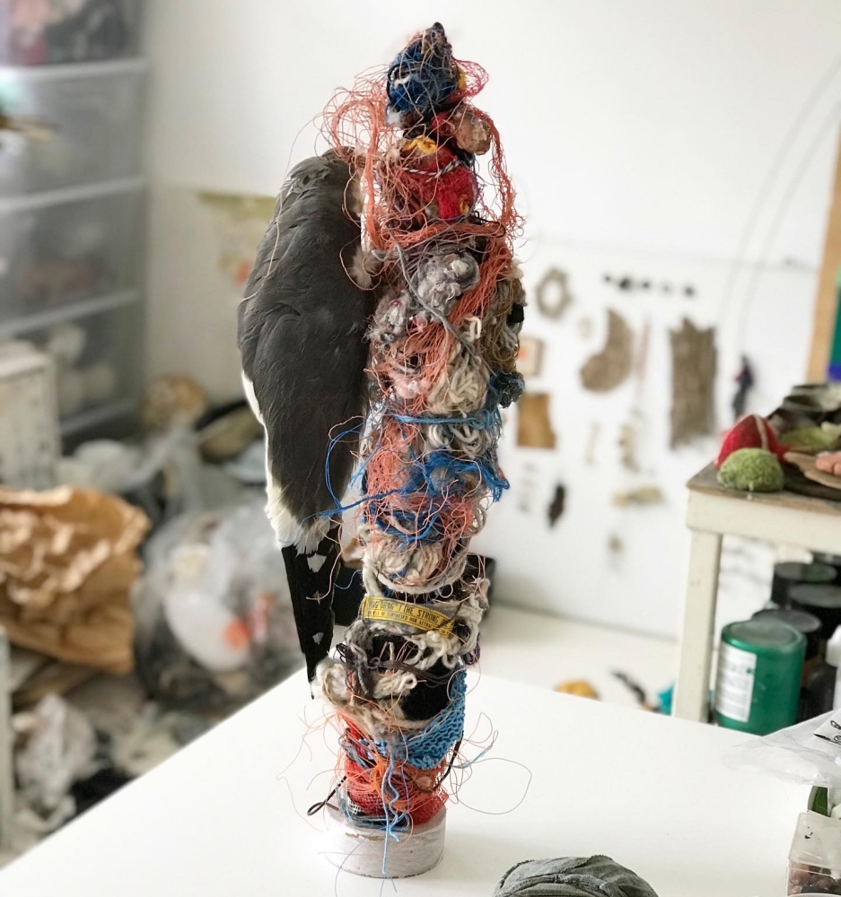 uitgelicht Brecht Langhout7