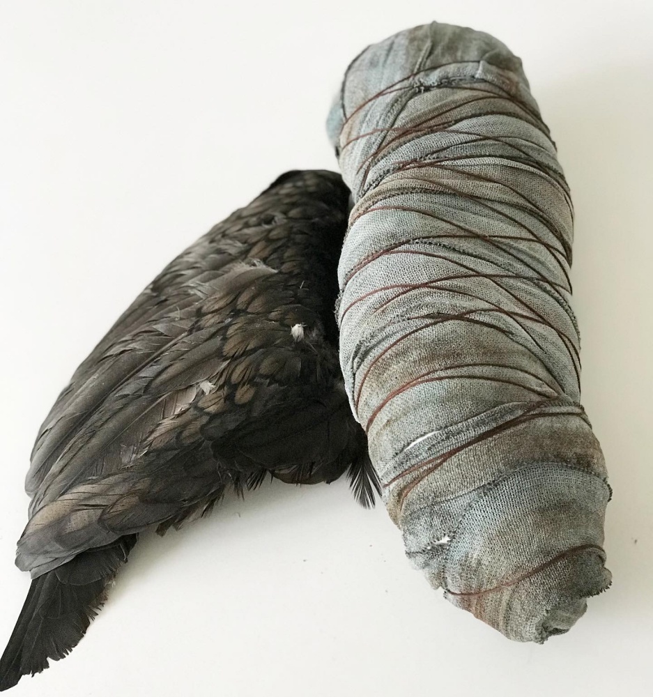 uitgelicht Brecht Langhout8