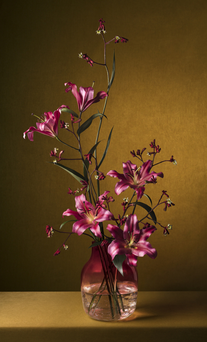 Chinnoe & Vlemmix Chinnoe & Vlemmix - Expo Bakenes Lily LR