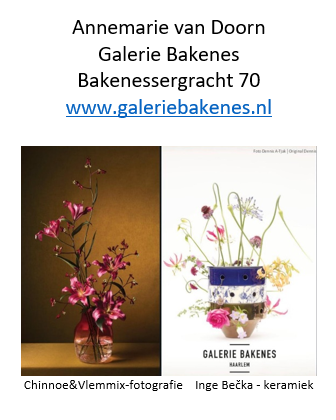Galerie Bakenes