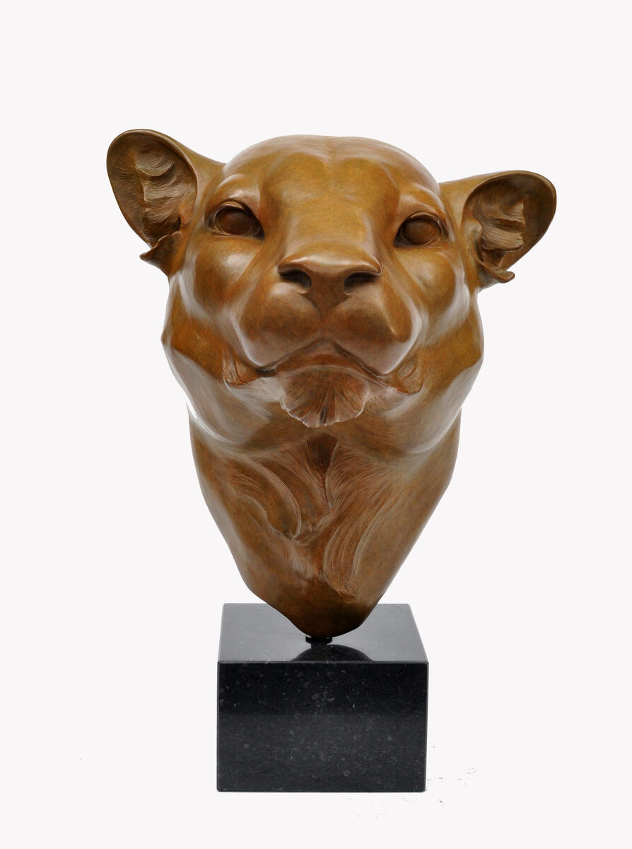 Renée Marcis Janssen - Orion