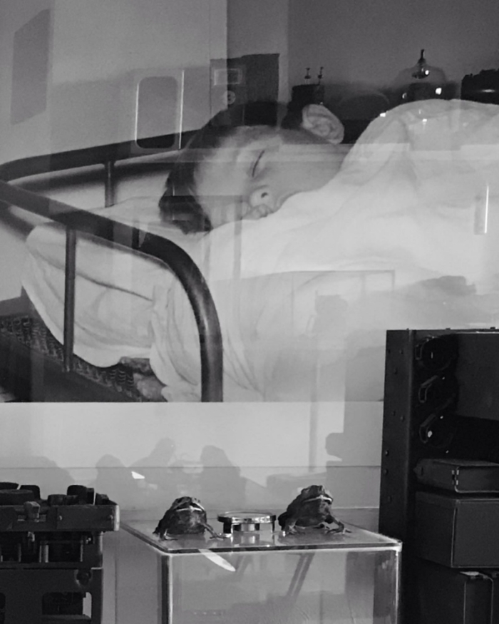 uitgelicht Rogier Polman3