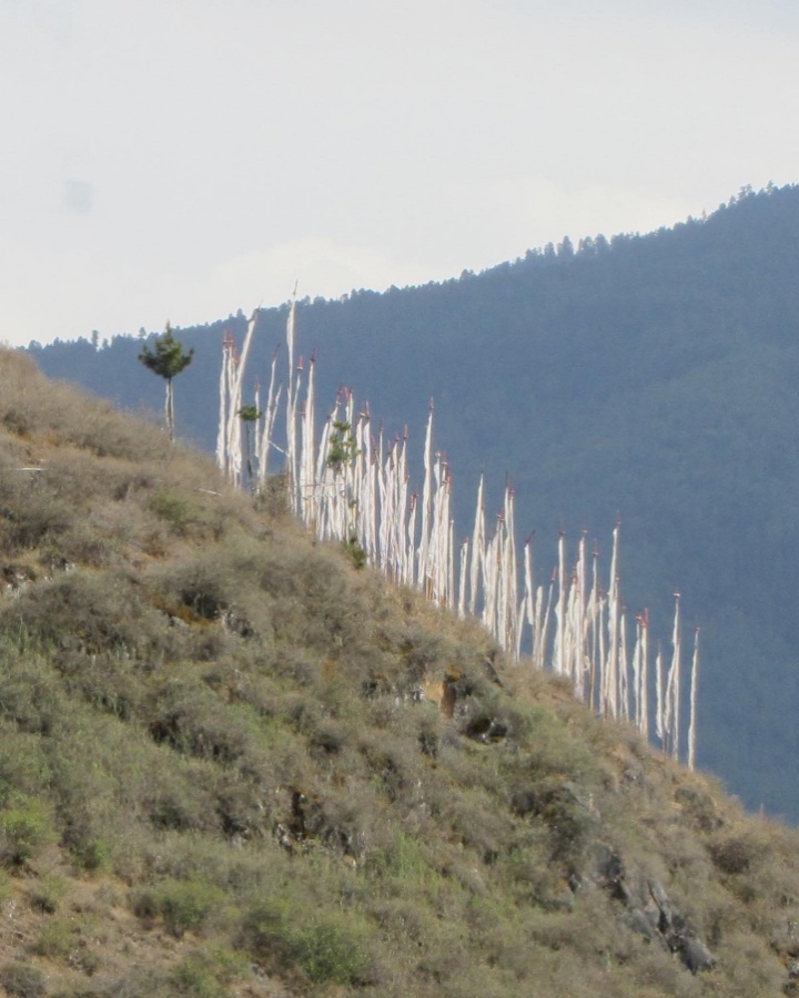 uitgelicht Marieke Adrichem2