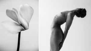 Jet van Gaal en Kachou Fuugetsu