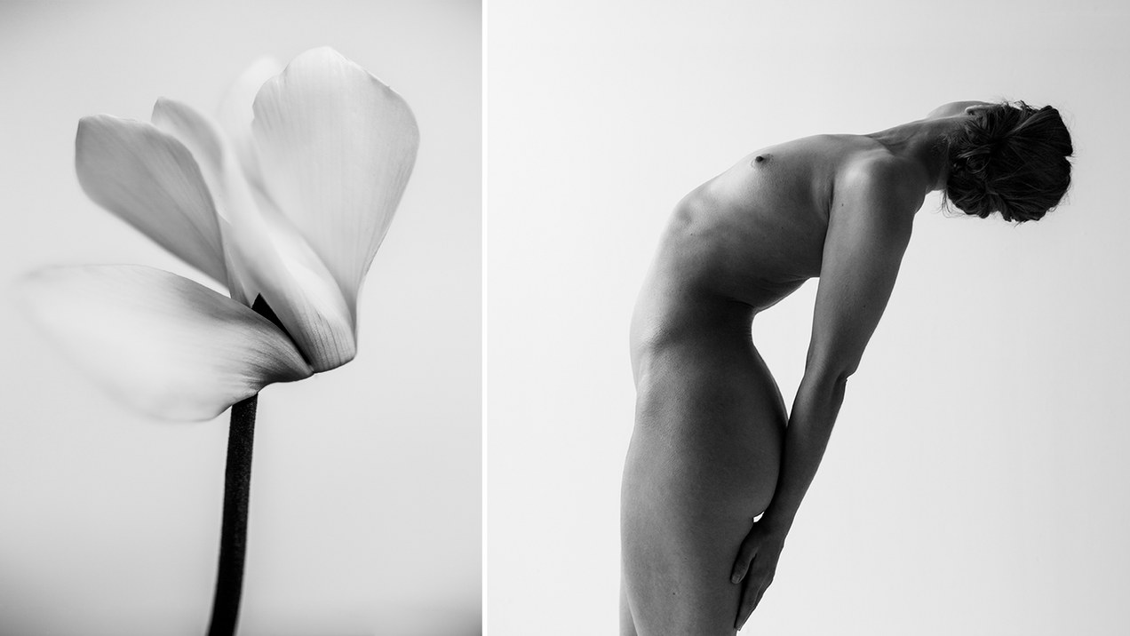 Jet van Gaal en Kachou Fuugetsu