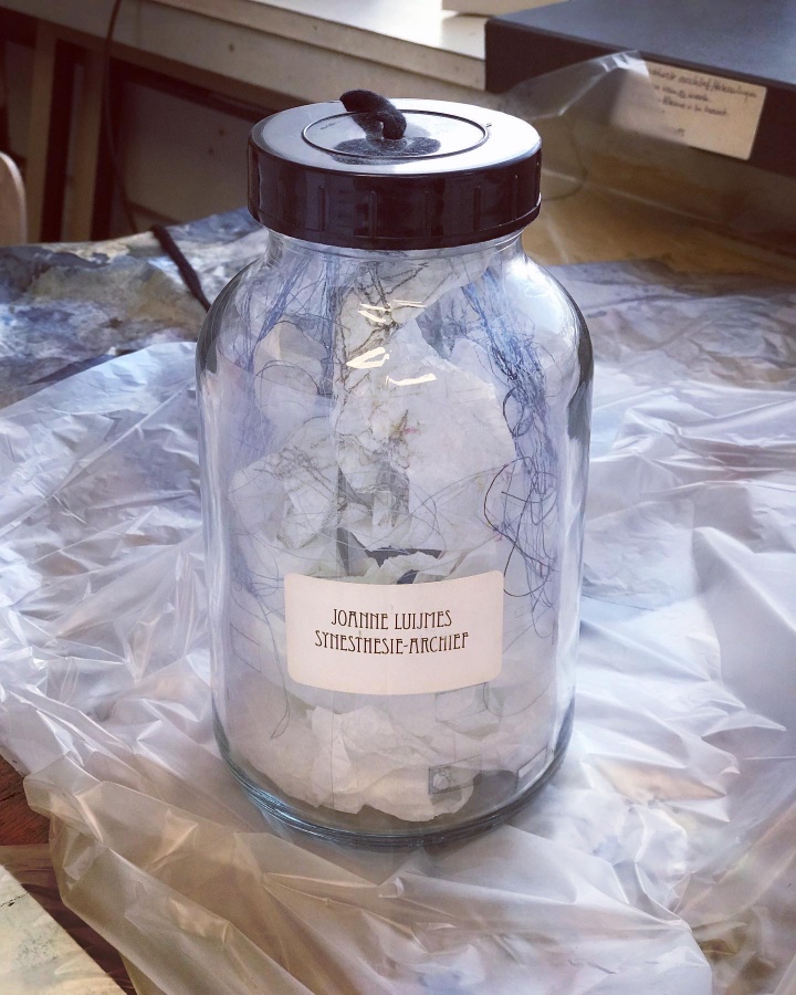 uitgelicht Joanne Luijmes3