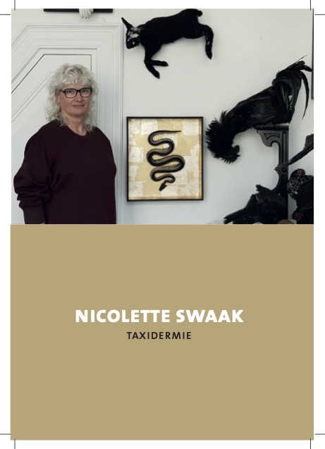 nicolette swaak