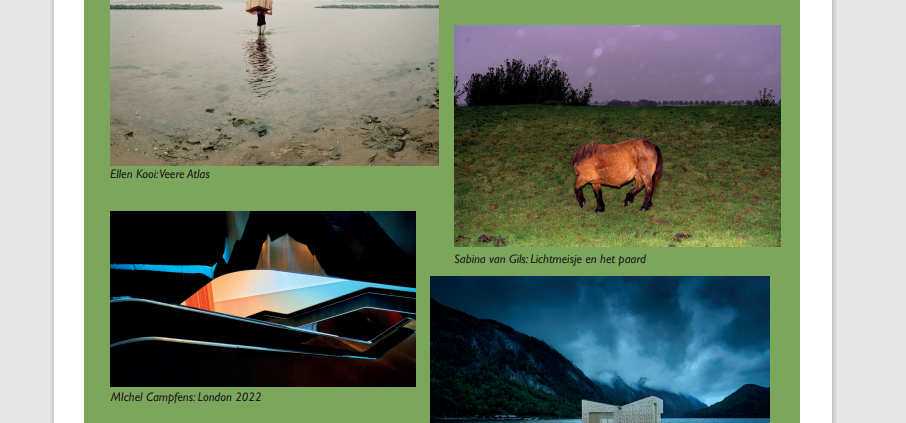 Ellen Kooi Michel Campfens Sabina van Gils