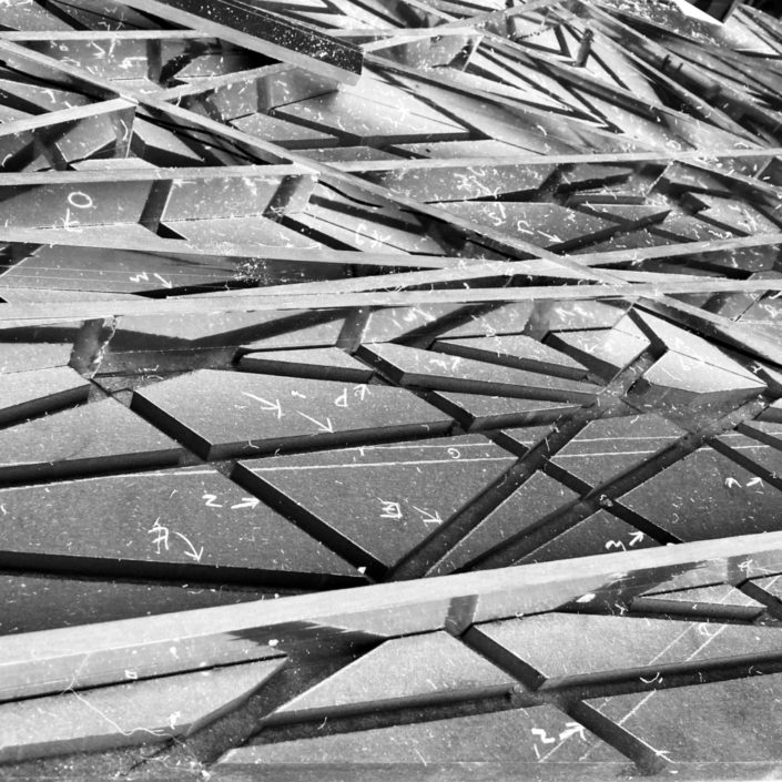 Dickens van der Werff