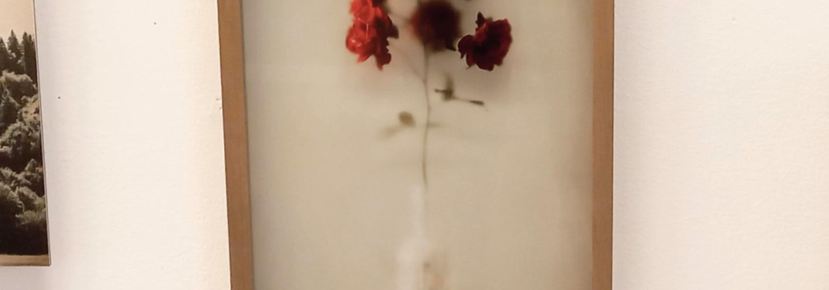 Juryprijs Kunstlijn Titus Brein