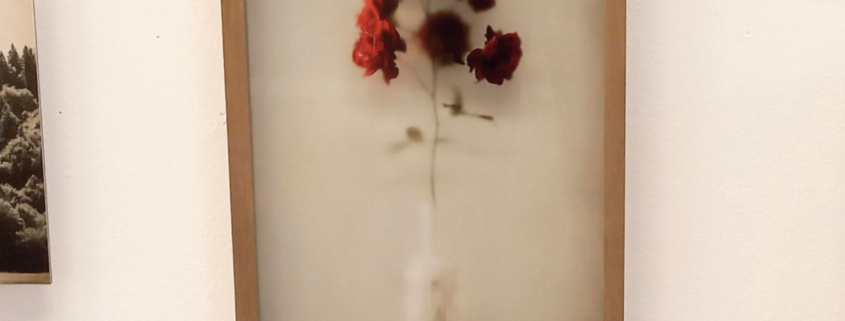 Juryprijs Kunstlijn Titus Brein