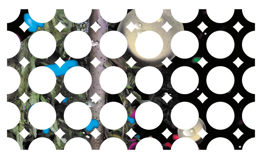 expo Petrus en Hamersma