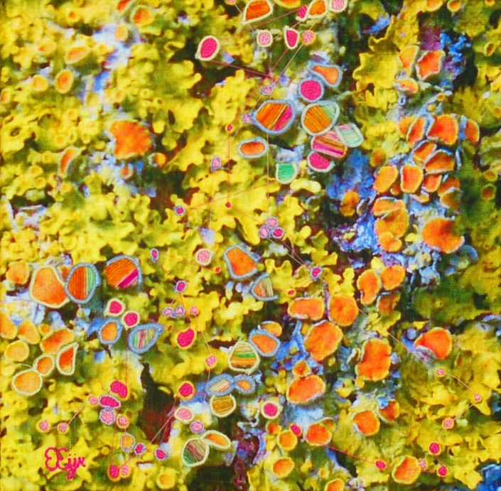 Eveline van der Eijk – Doorn