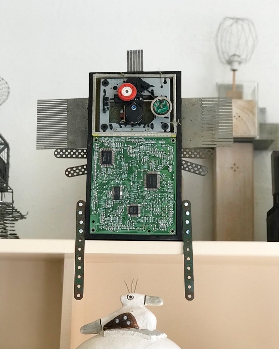 uitgelichtminowortel3