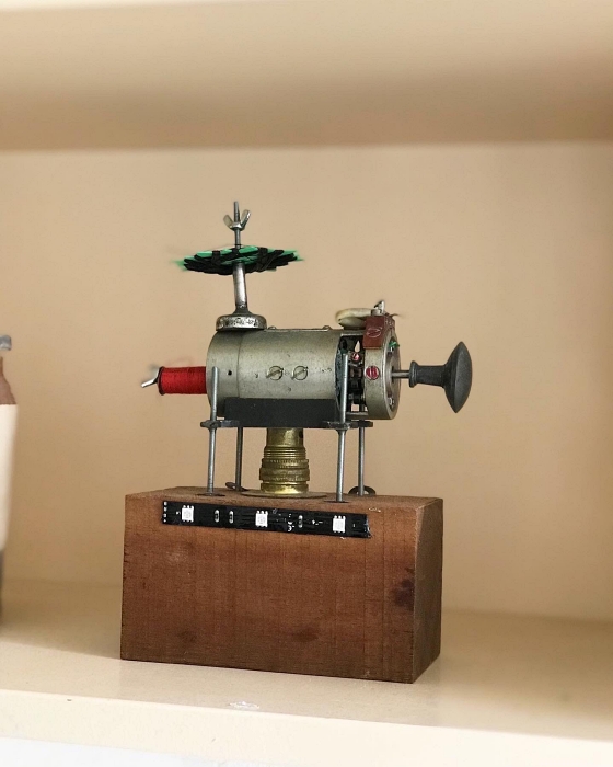 uitgelichtminowortel4