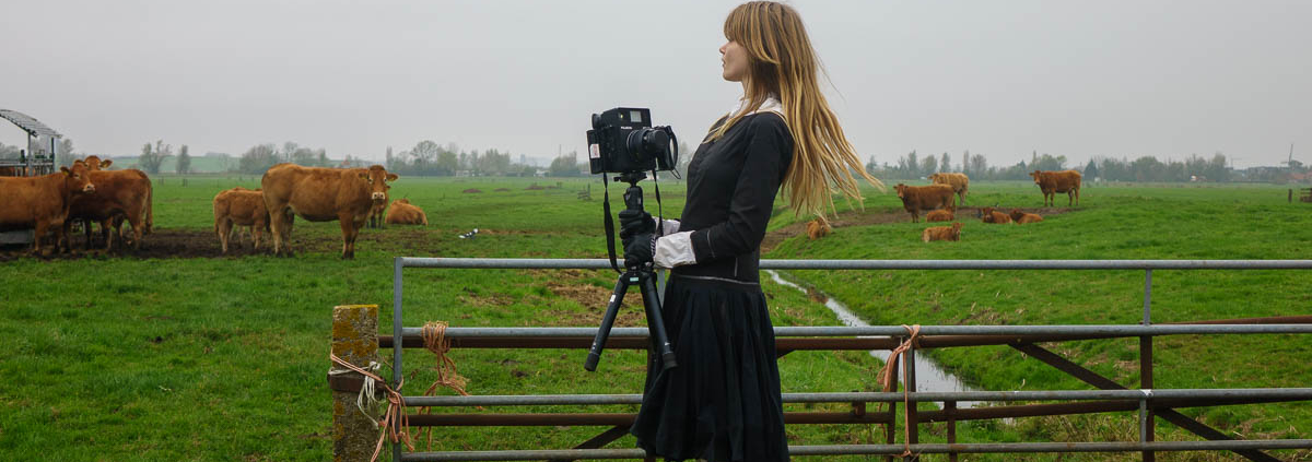 Lotus Rosalina Hebbing