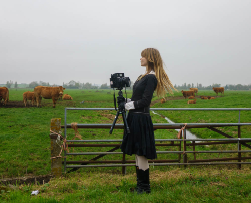 Lotus Rosalina Hebbing