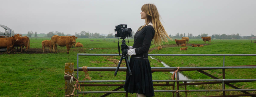 Lotus Rosalina Hebbing