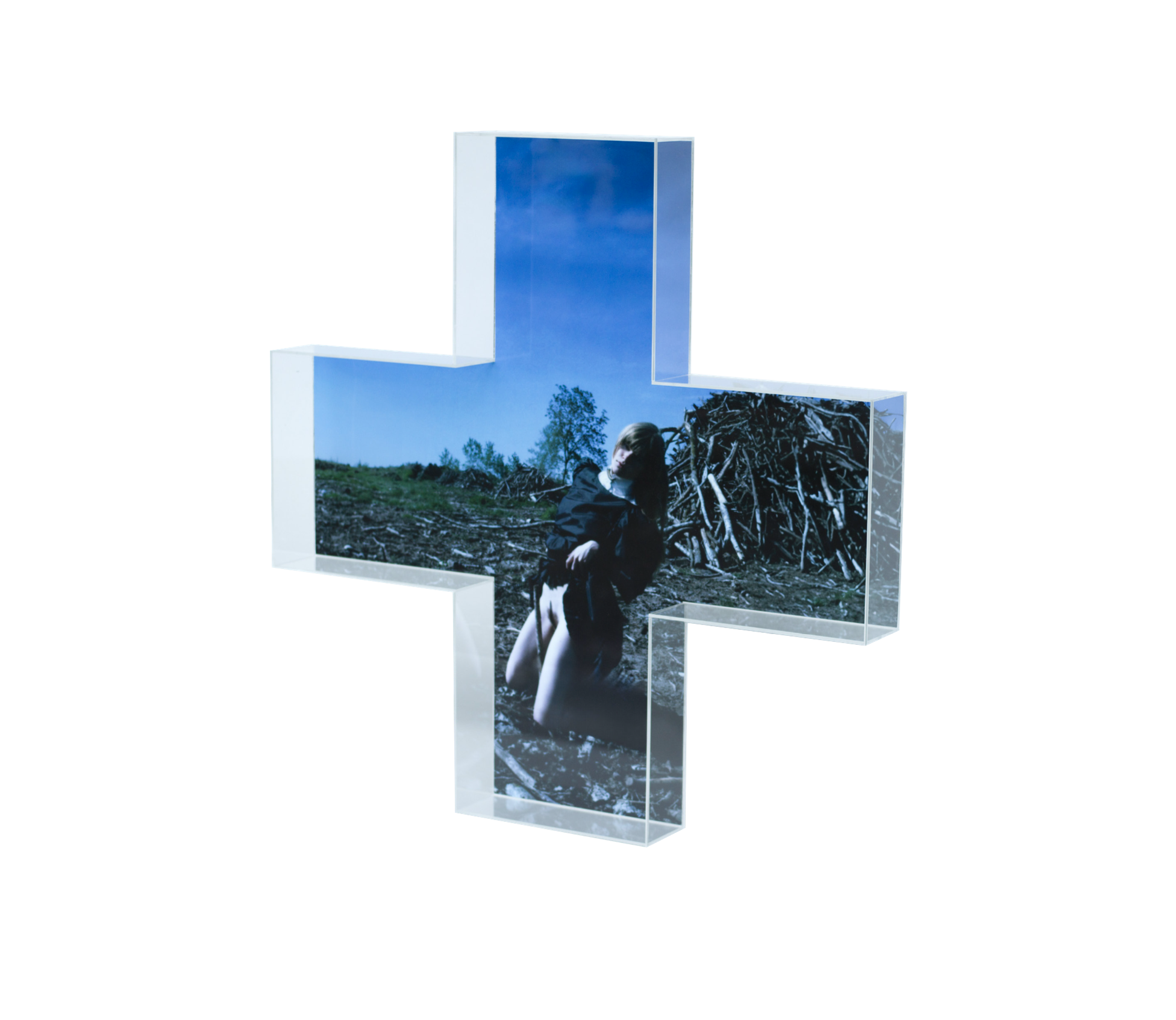 Lotus Rosalina Hebbing